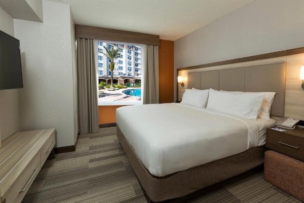 Holiday Inn Express & Suites S Lake Buena Vista image 20